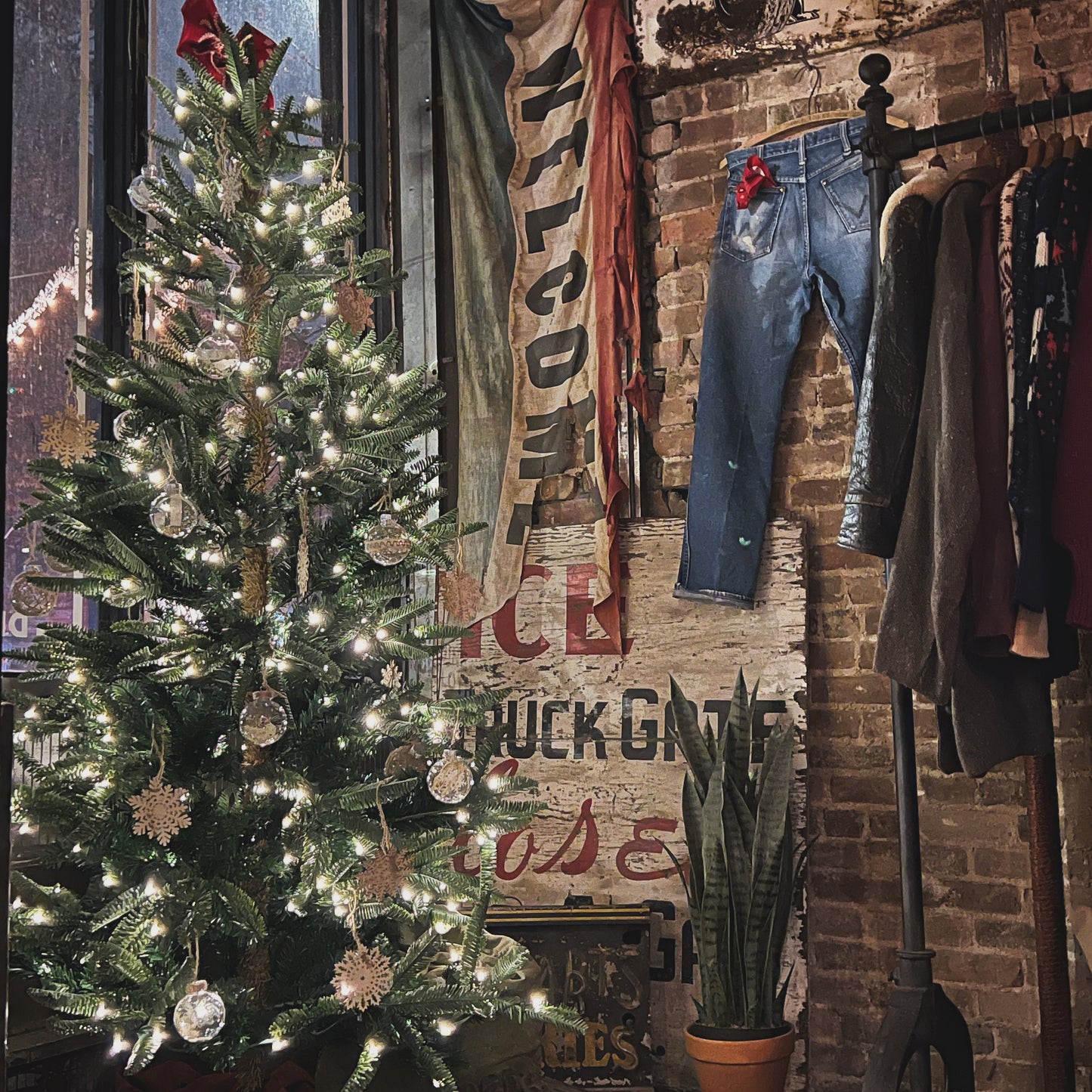 Brooklyn shop Xmas tree 